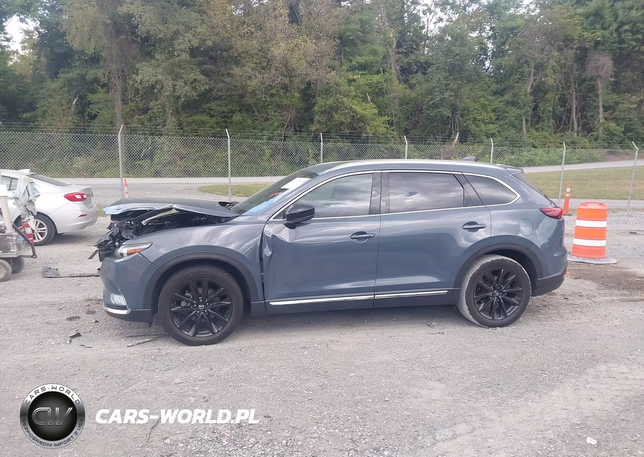 2021 Mazda Cx-9 Carbon Edition VIN:JM3TCBDY7M0500864 - 14