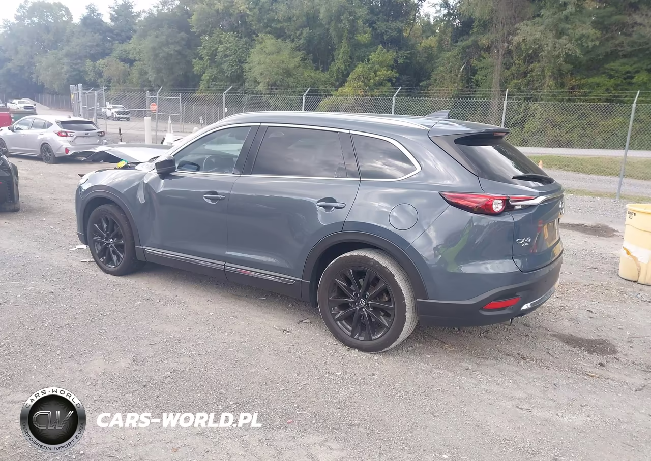 2021 Mazda Cx-9 Carbon Edition VIN:JM3TCBDY7M0500864 - 3