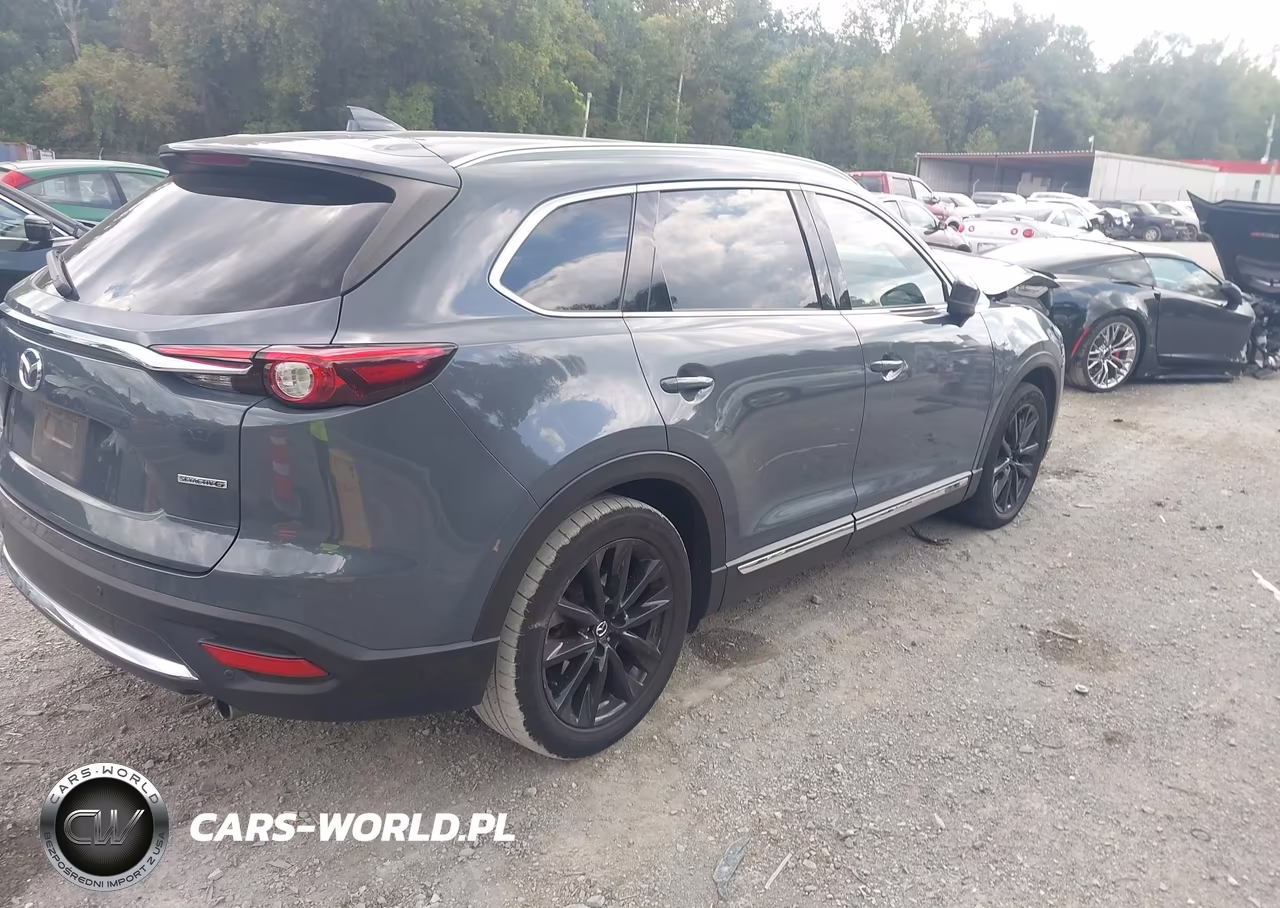 2021 Mazda Cx-9 Carbon Edition VIN:JM3TCBDY7M0500864 - 4