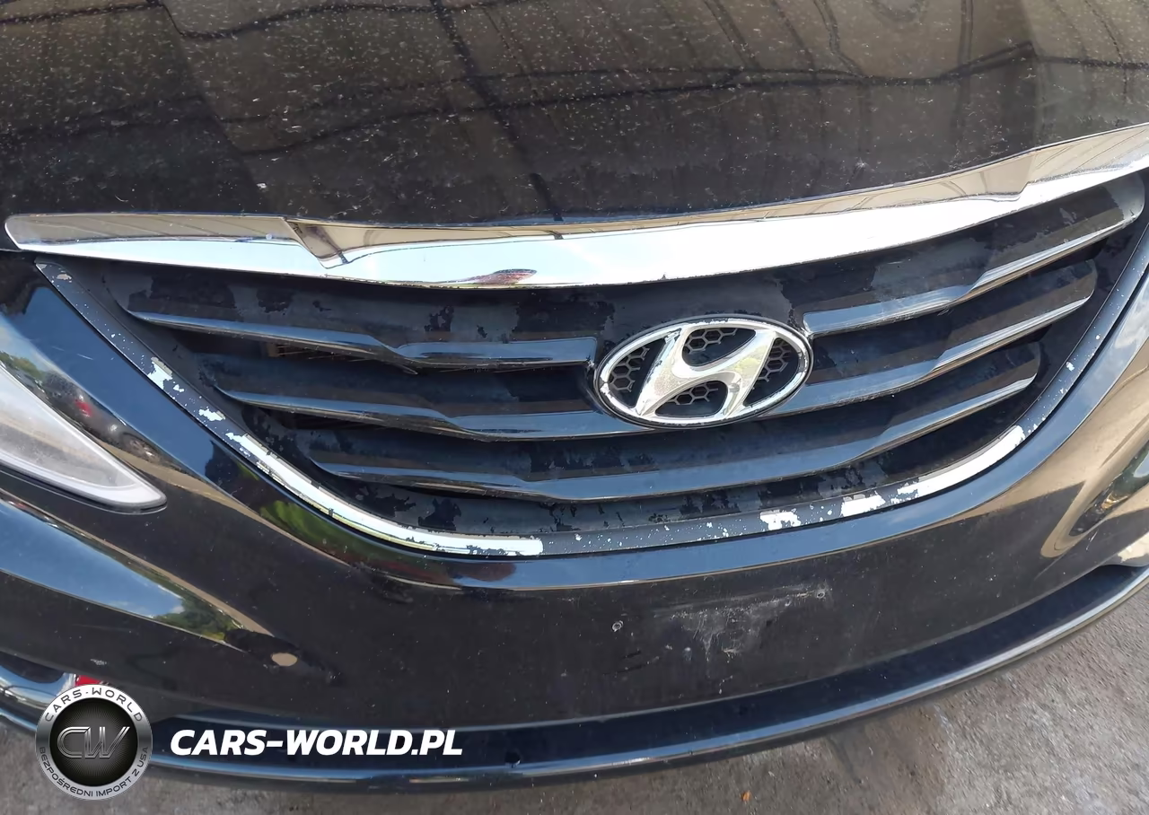 2012 Hyundai Sonata Gls VIN:5NPEB4AC5CH312810 - 12