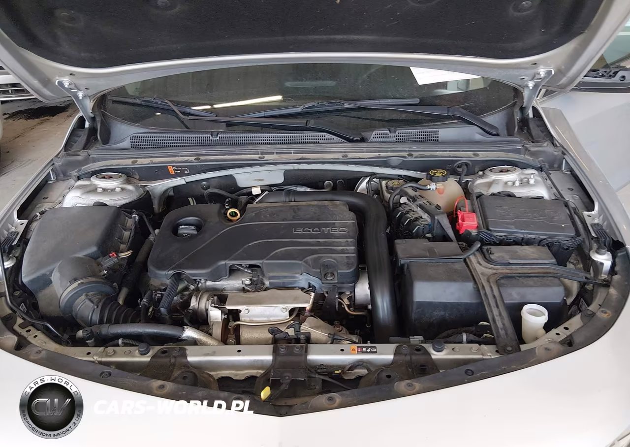 2019 Chevrolet Malibu Lt VIN:1G1ZD5ST7KF141026 - 10