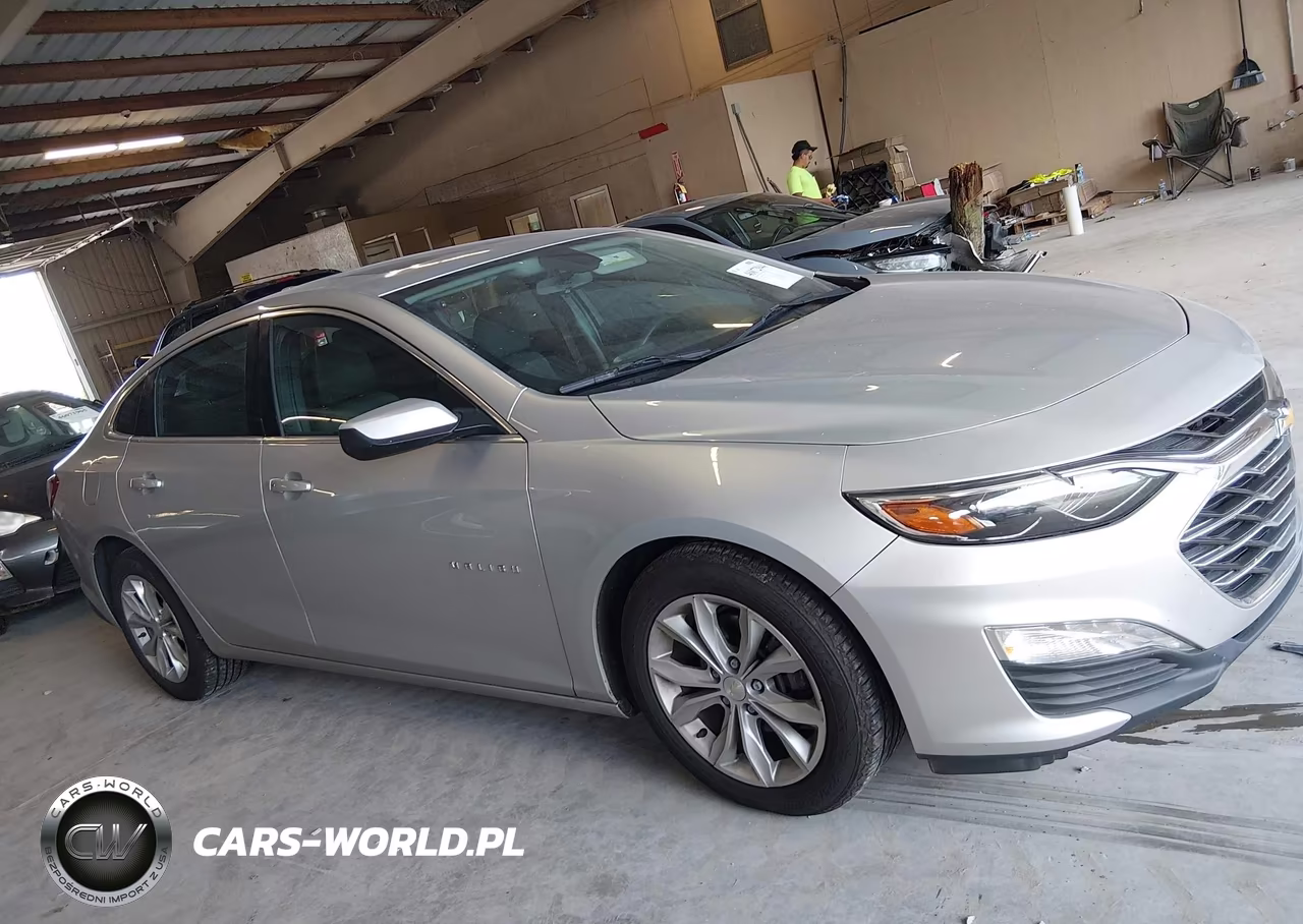 2019 Chevrolet Malibu Lt VIN:1G1ZD5ST7KF141026 - 13