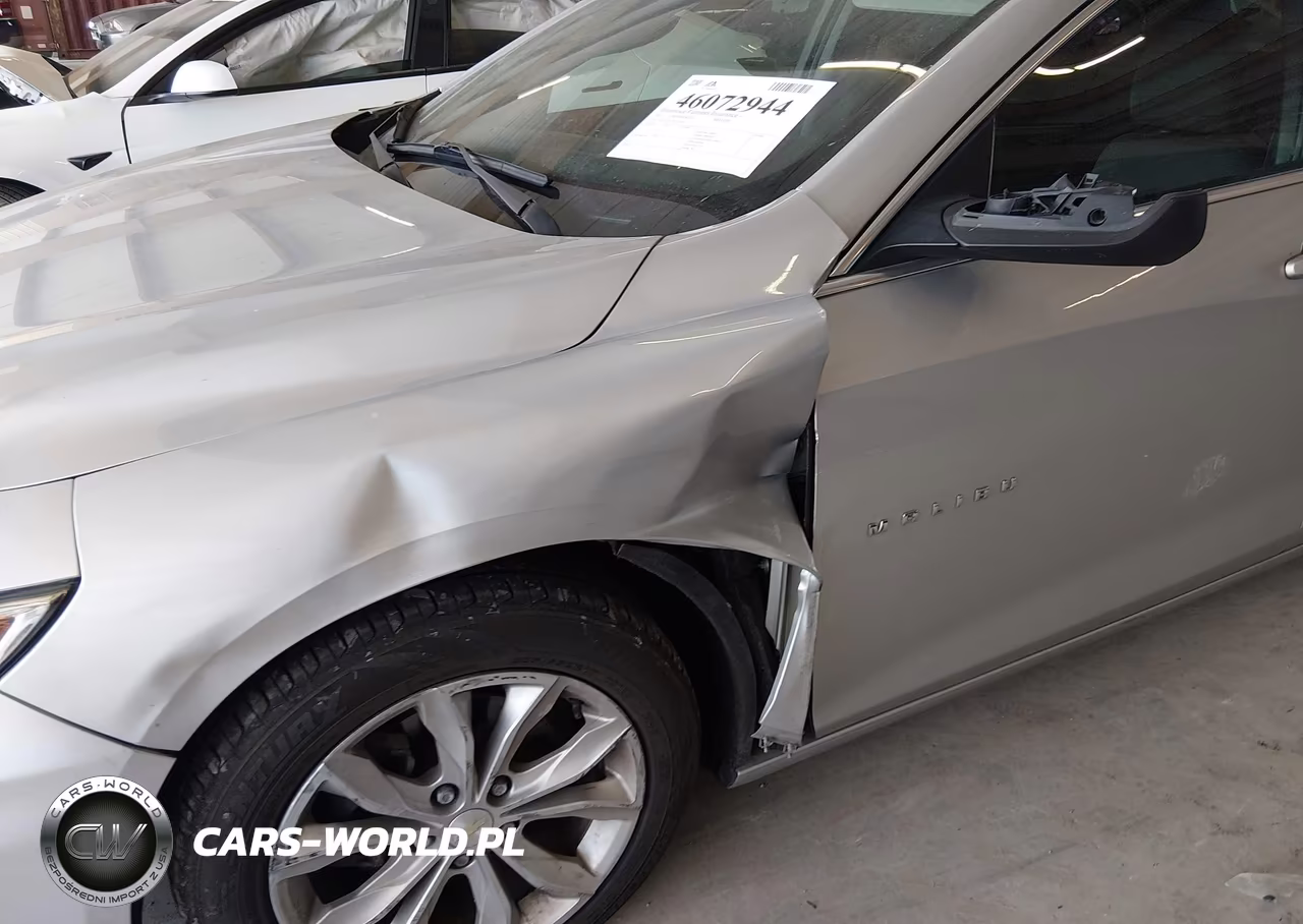 2019 Chevrolet Malibu Lt VIN:1G1ZD5ST7KF141026 - 6