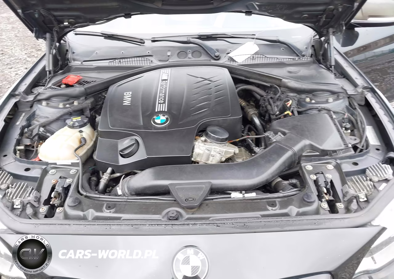 2015 BMW M235 xDrive VIN:WBA1J9C51FV371299 - 10