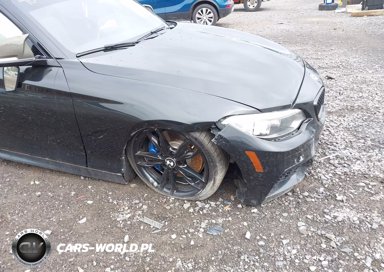 2015 BMW M235 xDrive VIN:WBA1J9C51FV371299 - 6
