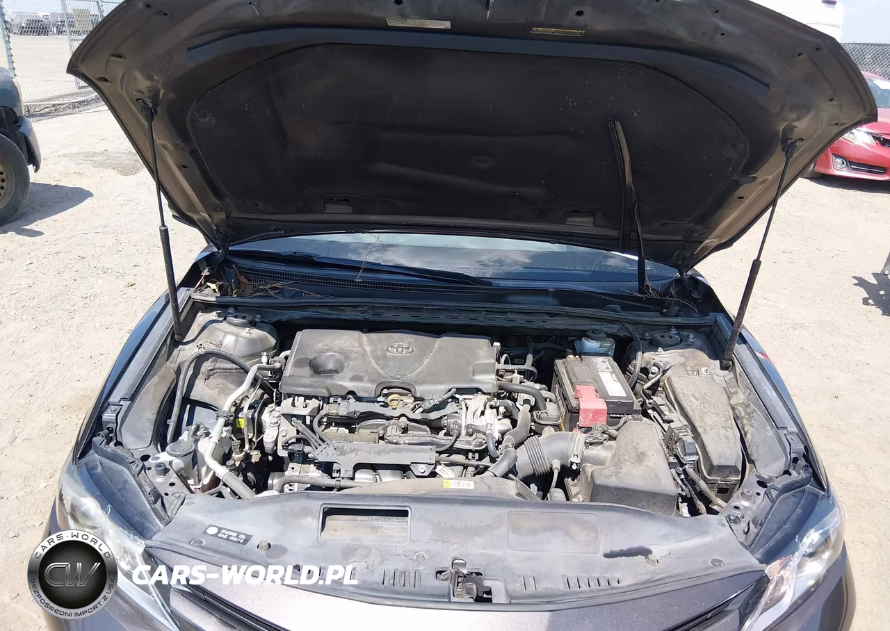 2019 Toyota Camry Le VIN:4T1B11HK7KU249999 - 10