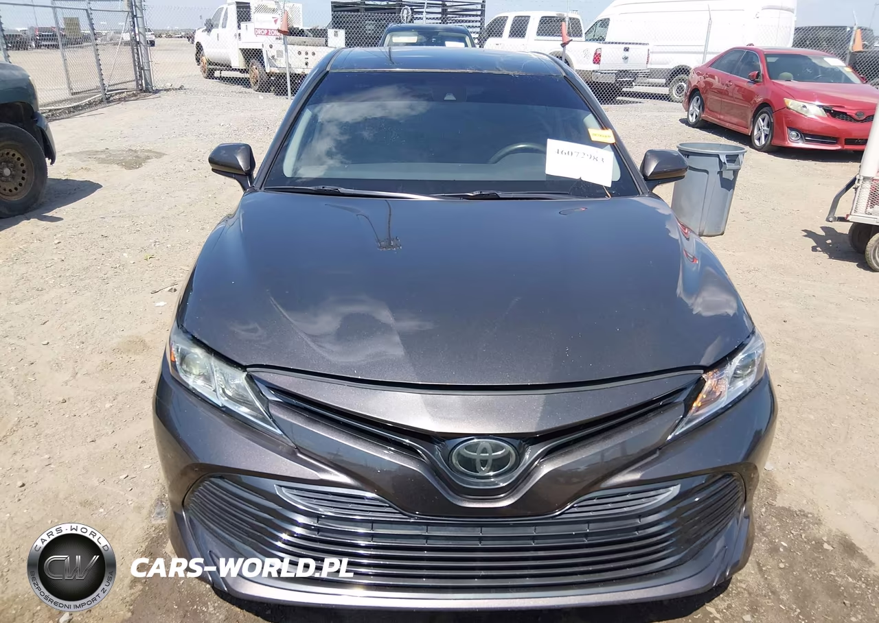 2019 Toyota Camry Le VIN:4T1B11HK7KU249999 - 12