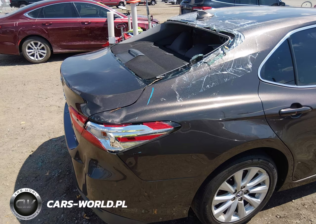 2019 Toyota Camry Le VIN:4T1B11HK7KU249999 - 19