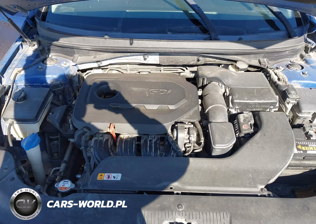 2016 Hyundai Sonata Se VIN:5NPE24AF6GH319233 - 10