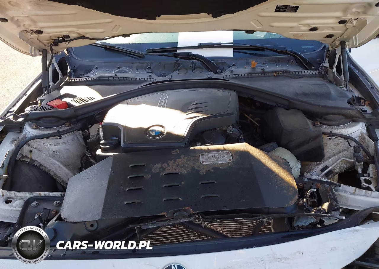 2014 BMW 320I xDrive VIN:WBA3C3C5XEF987107 - 10