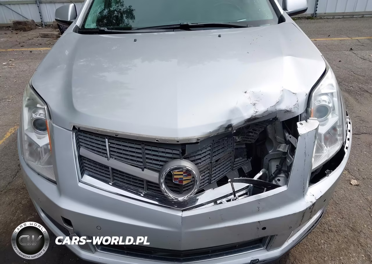 2012 Cadillac Srx Luxury Collection VIN:3GYFNAE32CS632171 - 12