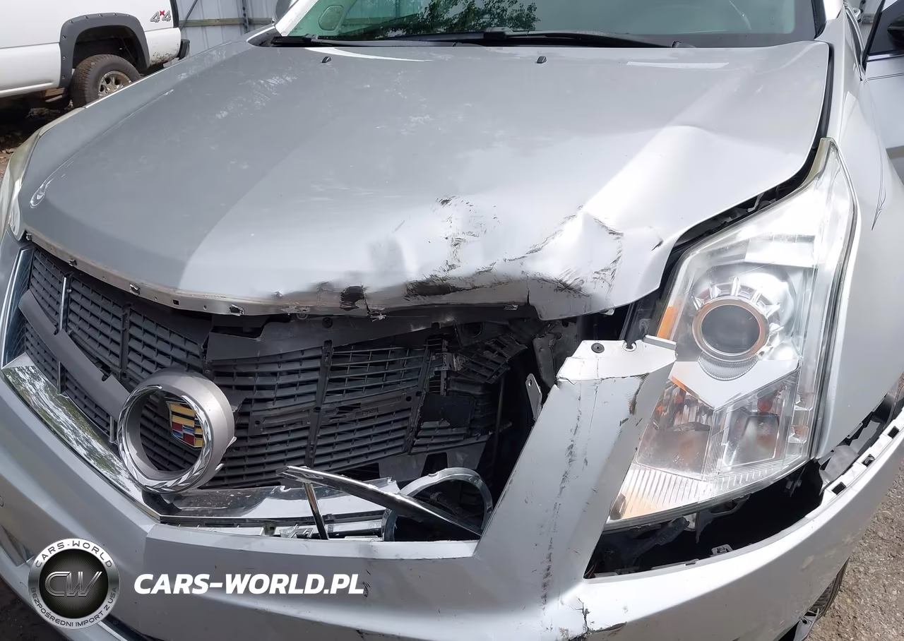 2012 Cadillac Srx Luxury Collection VIN:3GYFNAE32CS632171 - 6