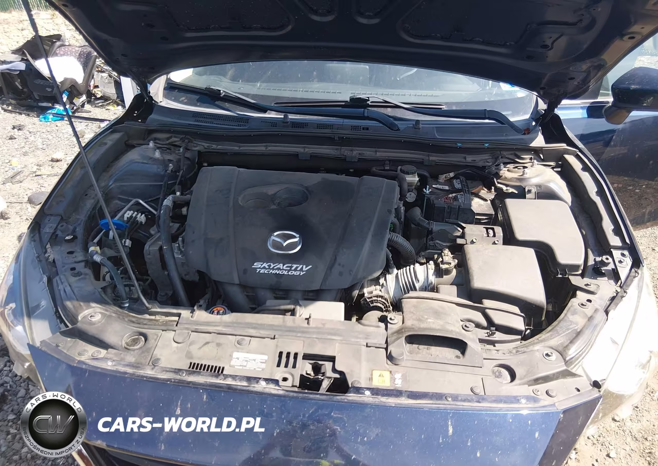 2016 Mazda Mazda3 I Sport VIN:3MZBM1K79GM322959 - 10