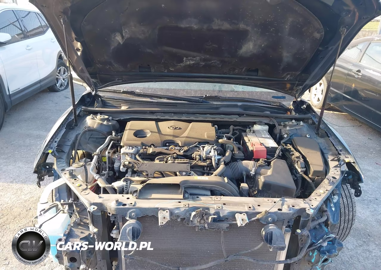 2018 Toyota Camry Se VIN:4T1B11HK8JU669284 - 10