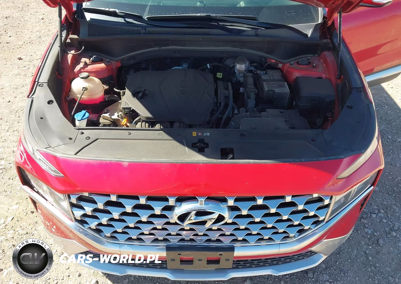 2021 Hyundai Santa Fe Sel VIN:5NMS64AJ4MH369214 - 10