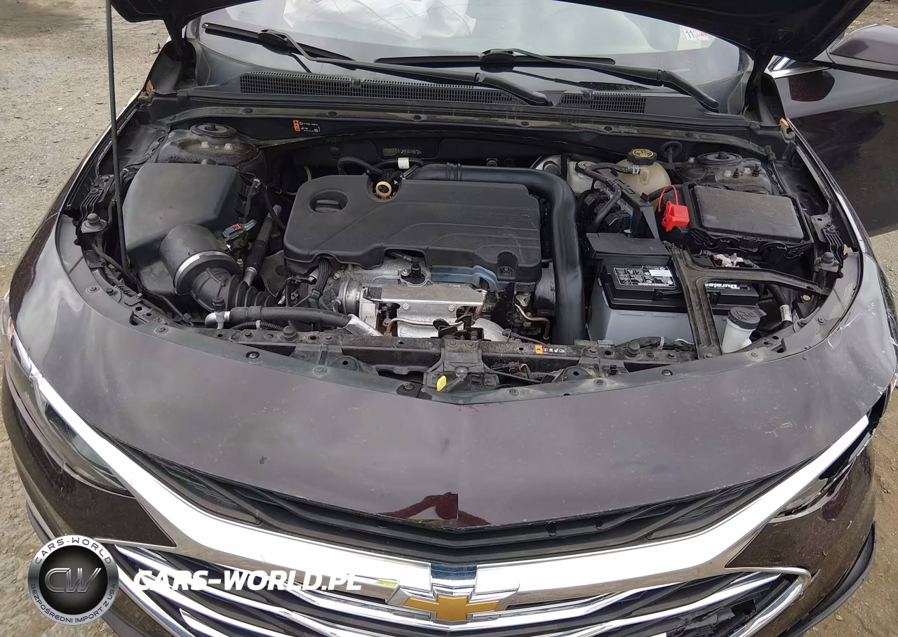 2021 Chevrolet Malibu Fwd Lt VIN:1G1ZD5ST1MF014470 - 10