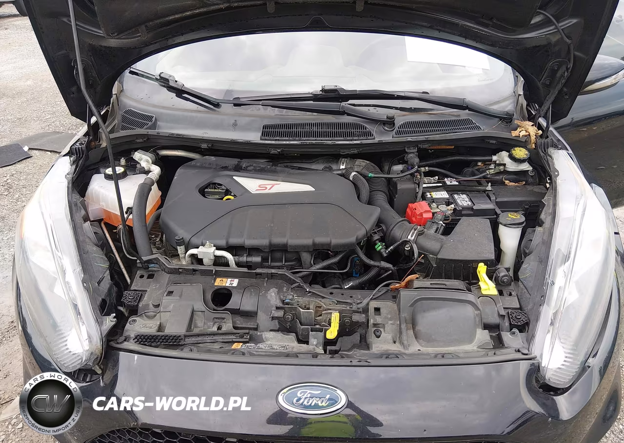 2018 Ford Fiesta St VIN:3FADP4GX0JM138875 - 10