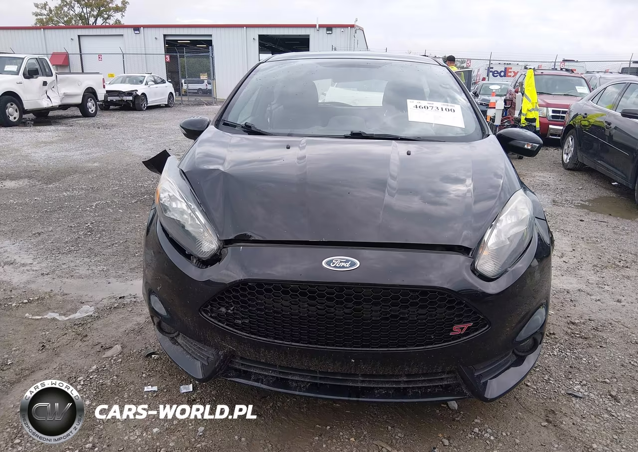 2018 Ford Fiesta St VIN:3FADP4GX0JM138875 - 13