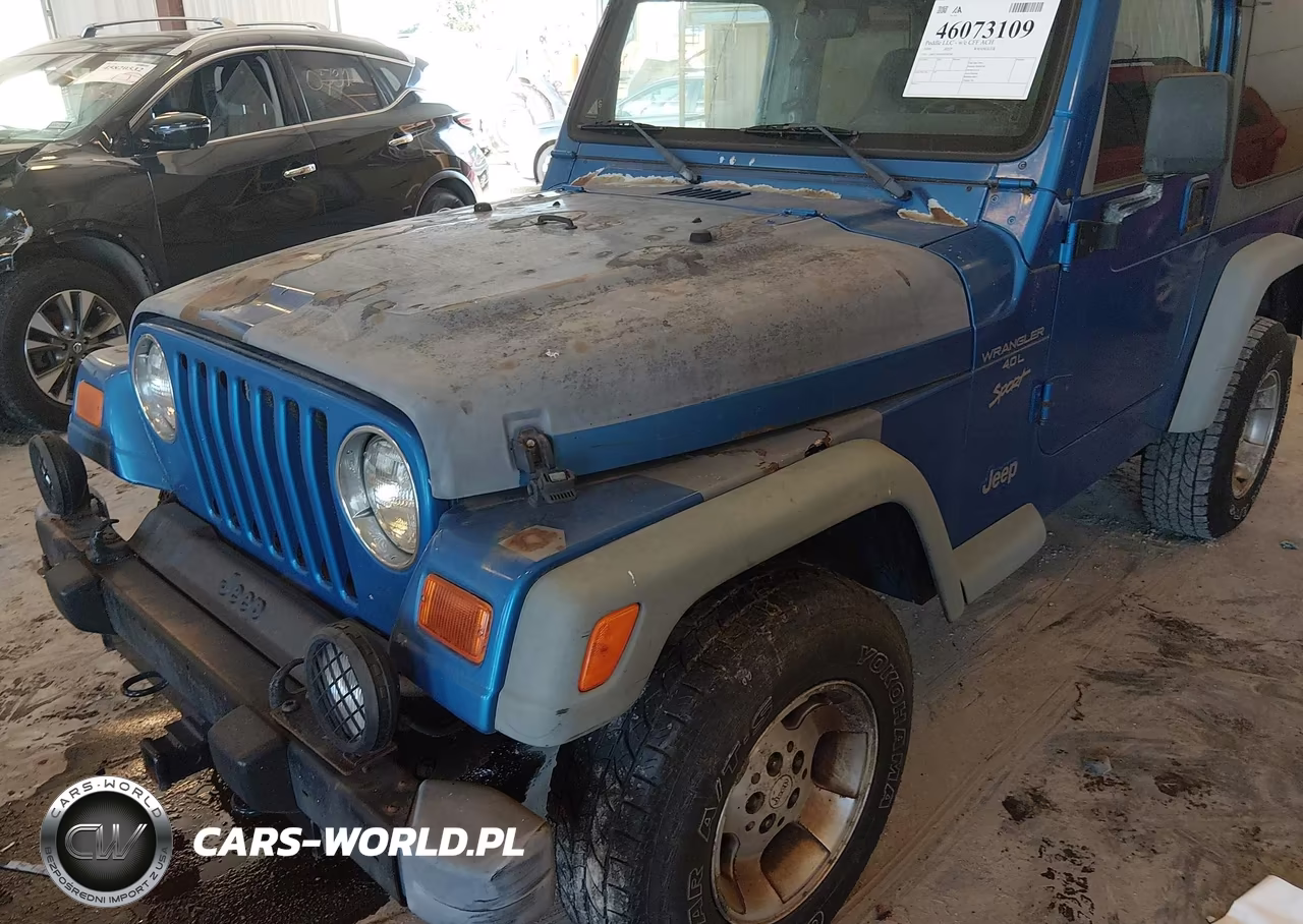 1999 Jeep Wrangler Sport VIN:1J4FY19S9XP454398 - 6
