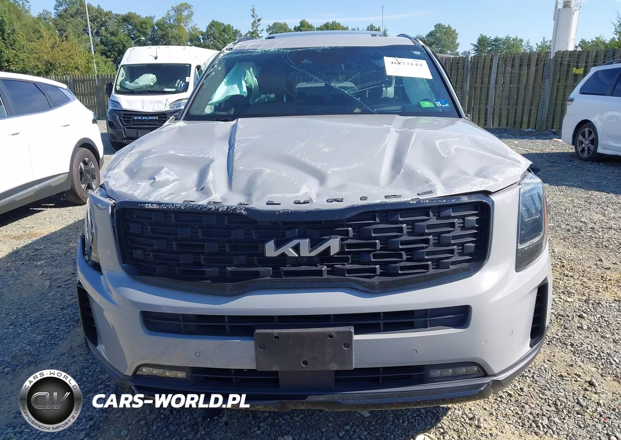 2022 Kia Telluride Sx VIN:5XYP5DHC6NG295001 - 13