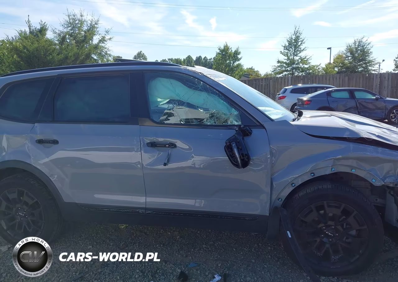2022 Kia Telluride Sx VIN:5XYP5DHC6NG295001 - 14