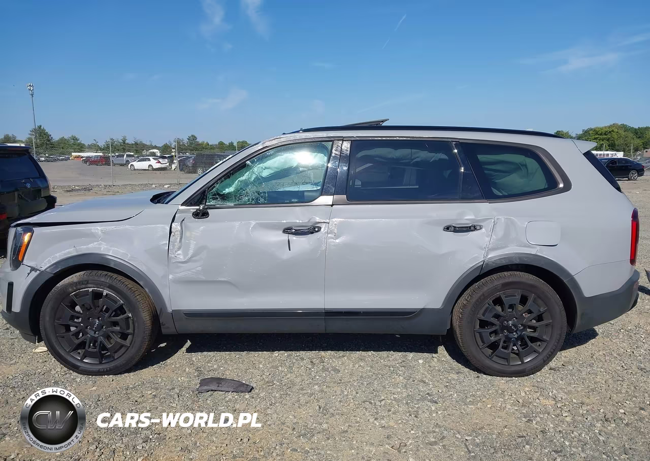 2022 Kia Telluride Sx VIN:5XYP5DHC6NG295001 - 15