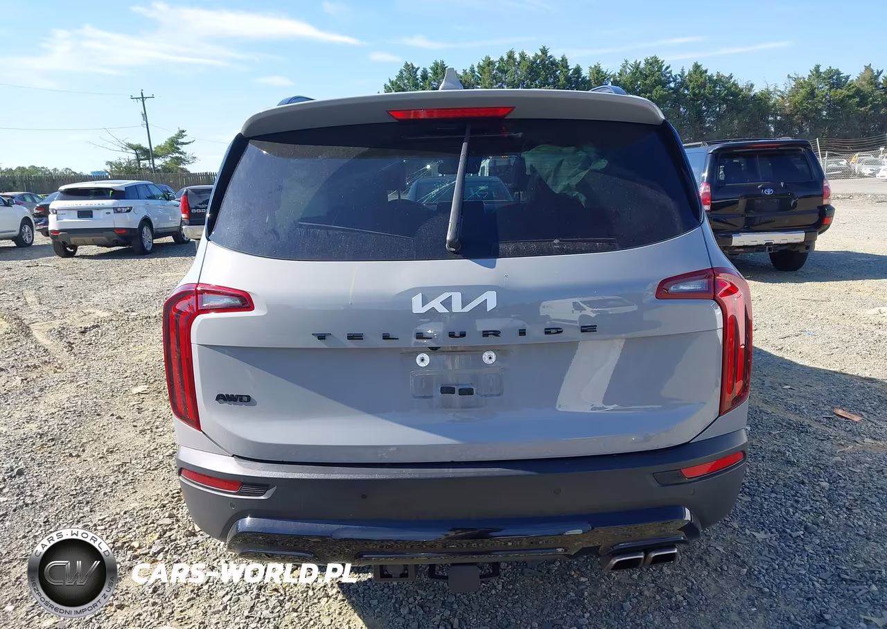 2022 Kia Telluride Sx VIN:5XYP5DHC6NG295001 - 17