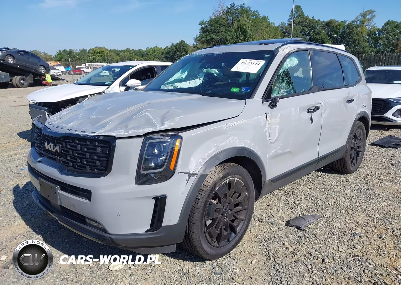 2022 Kia Telluride Sx VIN:5XYP5DHC6NG295001 - 2