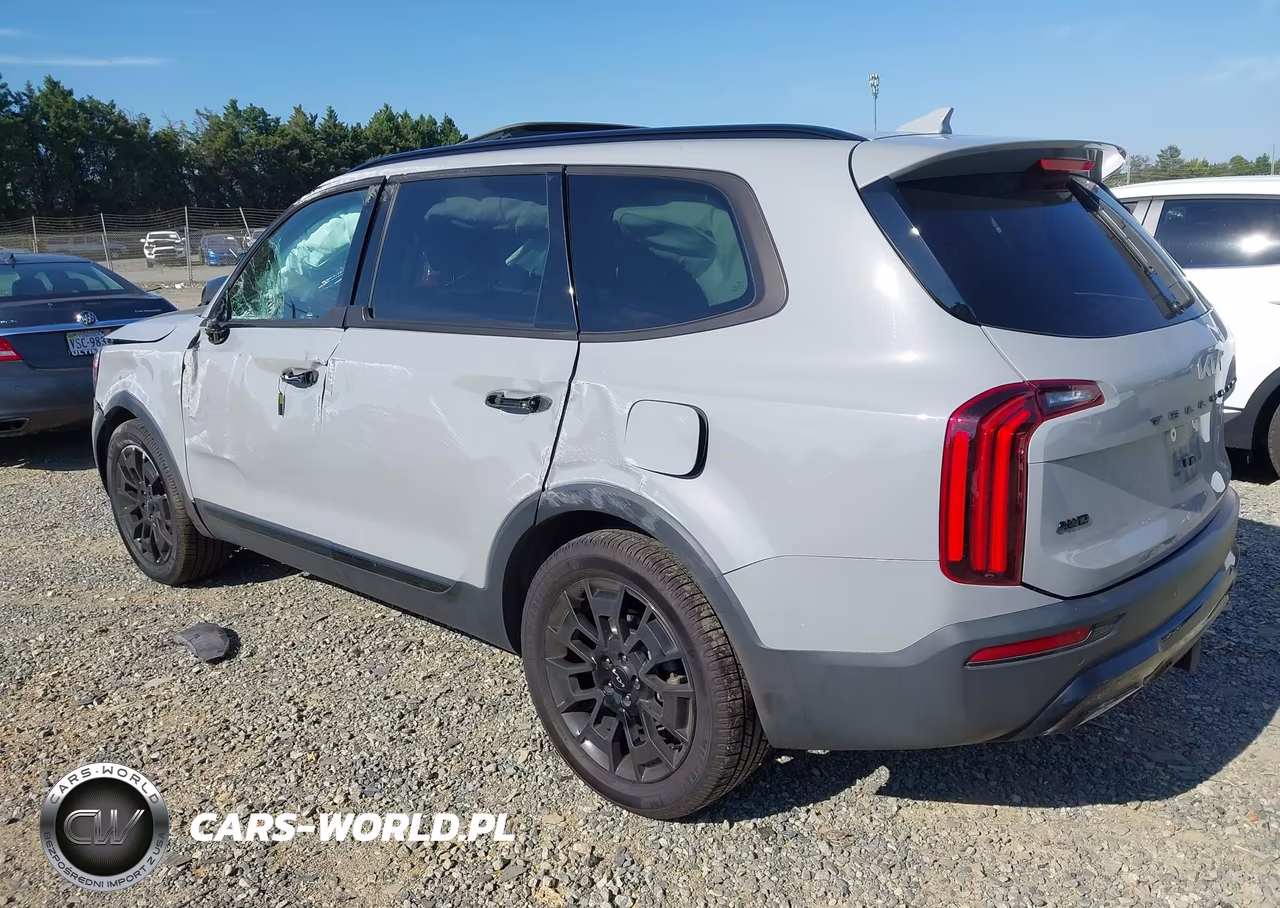 2022 Kia Telluride Sx VIN:5XYP5DHC6NG295001 - 3