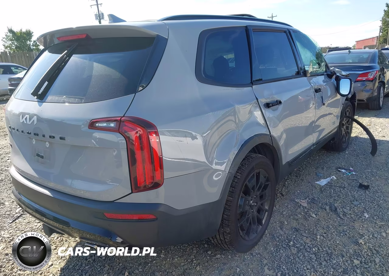 2022 Kia Telluride Sx VIN:5XYP5DHC6NG295001 - 4