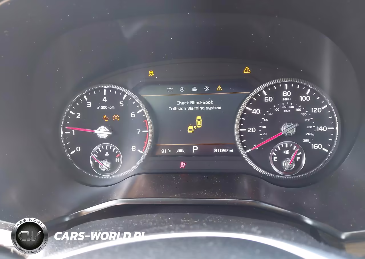 2022 Kia Telluride Sx VIN:5XYP5DHC6NG295001 - 7
