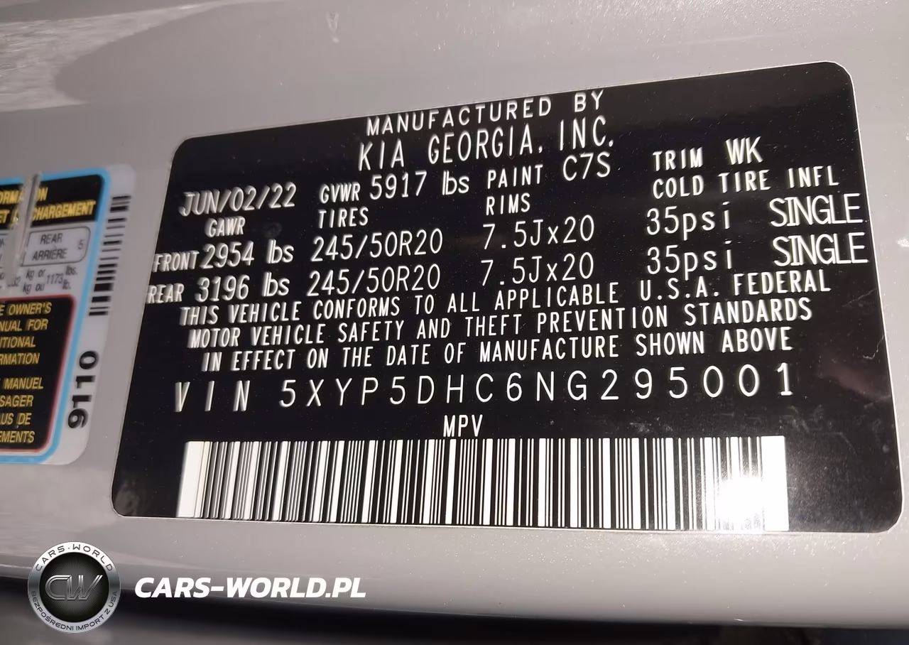2022 Kia Telluride Sx VIN:5XYP5DHC6NG295001 - 9