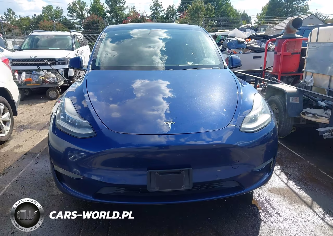 2020 Tesla Model Y Long Range Dual Motor All-Wheel Drive VIN:5YJYGDEE6LF015098 - 12