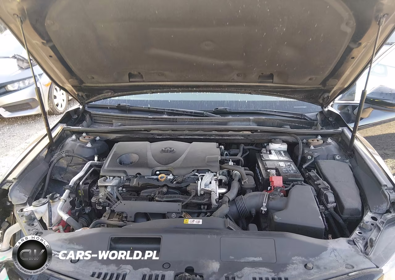 2019 Toyota Camry Se VIN:4T1B11HKXKU846998 - 10