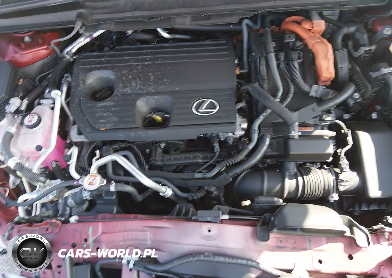 2024 Lexus Rx 450H+ Luxury VIN:JTJCJMGA4R2022825 - 10