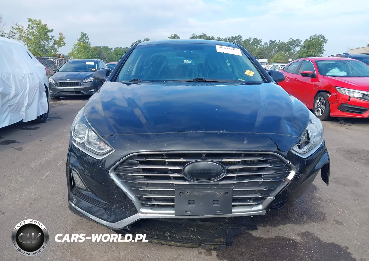 2019 Hyundai Sonata Se VIN:5NPE24AFXKH739201 - 12