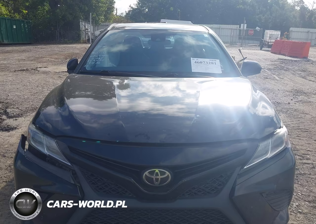 2019 Toyota Camry Se VIN:4T1B11HK4KU780030 - 12