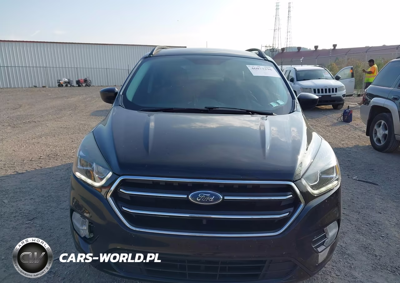 2017 Ford Escape Se VIN:1FMCU9G91HUB72158 - 12