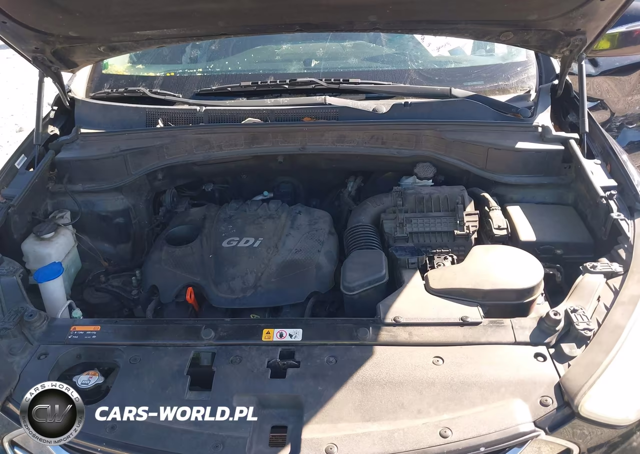 2014 Hyundai Santa Fe Sport 2.4L VIN:5XYZUDLBXEG231781 - 10
