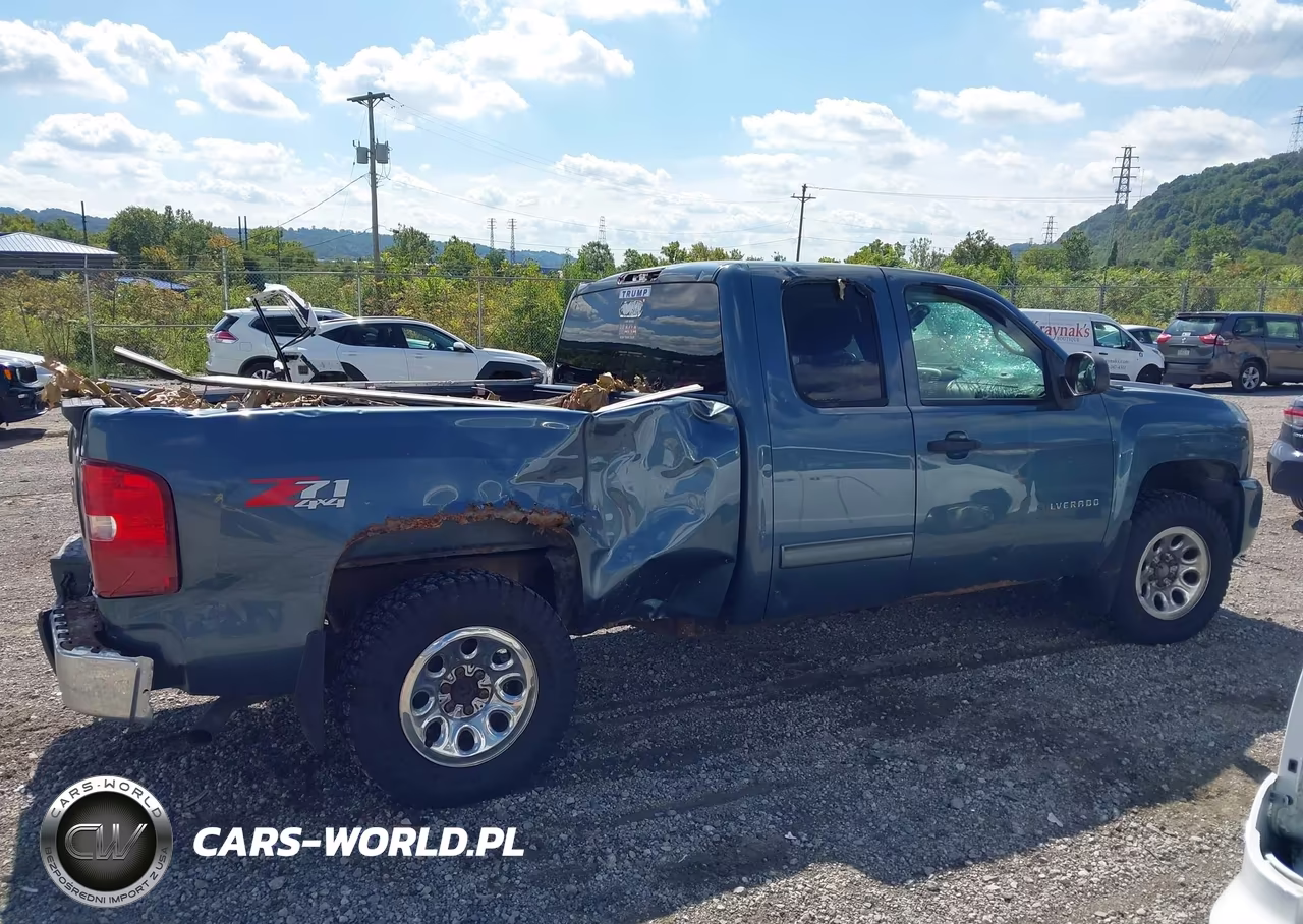 2010 Chevrolet Silverado 1500 Lt VIN:1GCSKSE37AZ135426 - 13