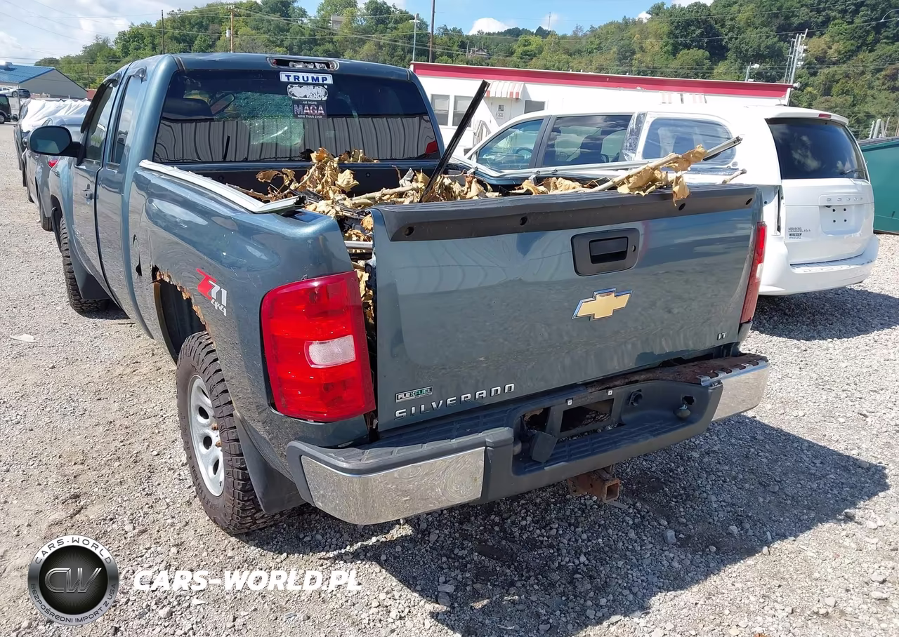 2010 Chevrolet Silverado 1500 Lt VIN:1GCSKSE37AZ135426 - 19