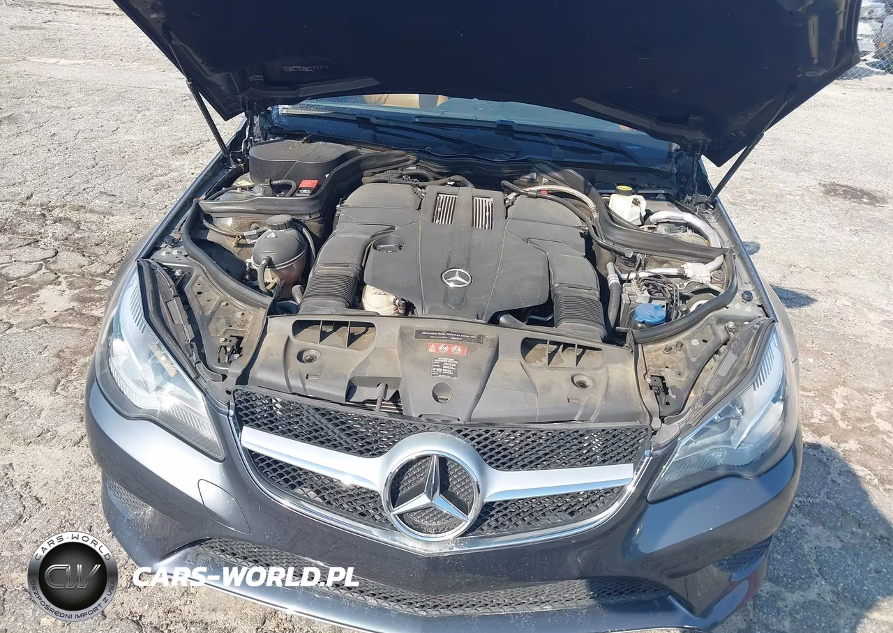 2015 Mercedes-Benz E 400 VIN:WDDKK6FF1FF309456 - 10