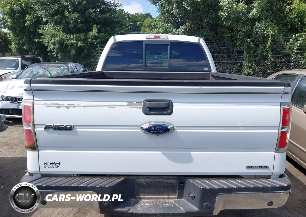 2014 Ford F-150 Xlt VIN:1FTFW1EF1EKG25840 - 16