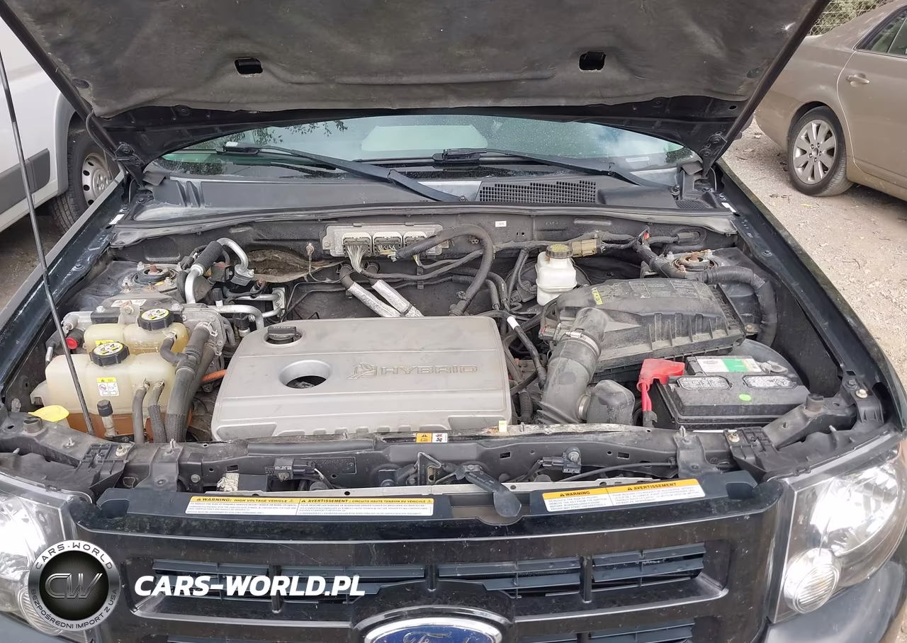 2009 Ford Escape Hybrid Limited VIN:1FMCU59359KB93013 - 10