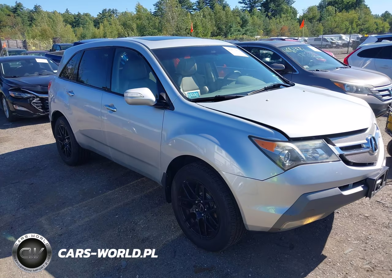 2009 Acura Mdx VIN:2HNYD28299H530141 - 1