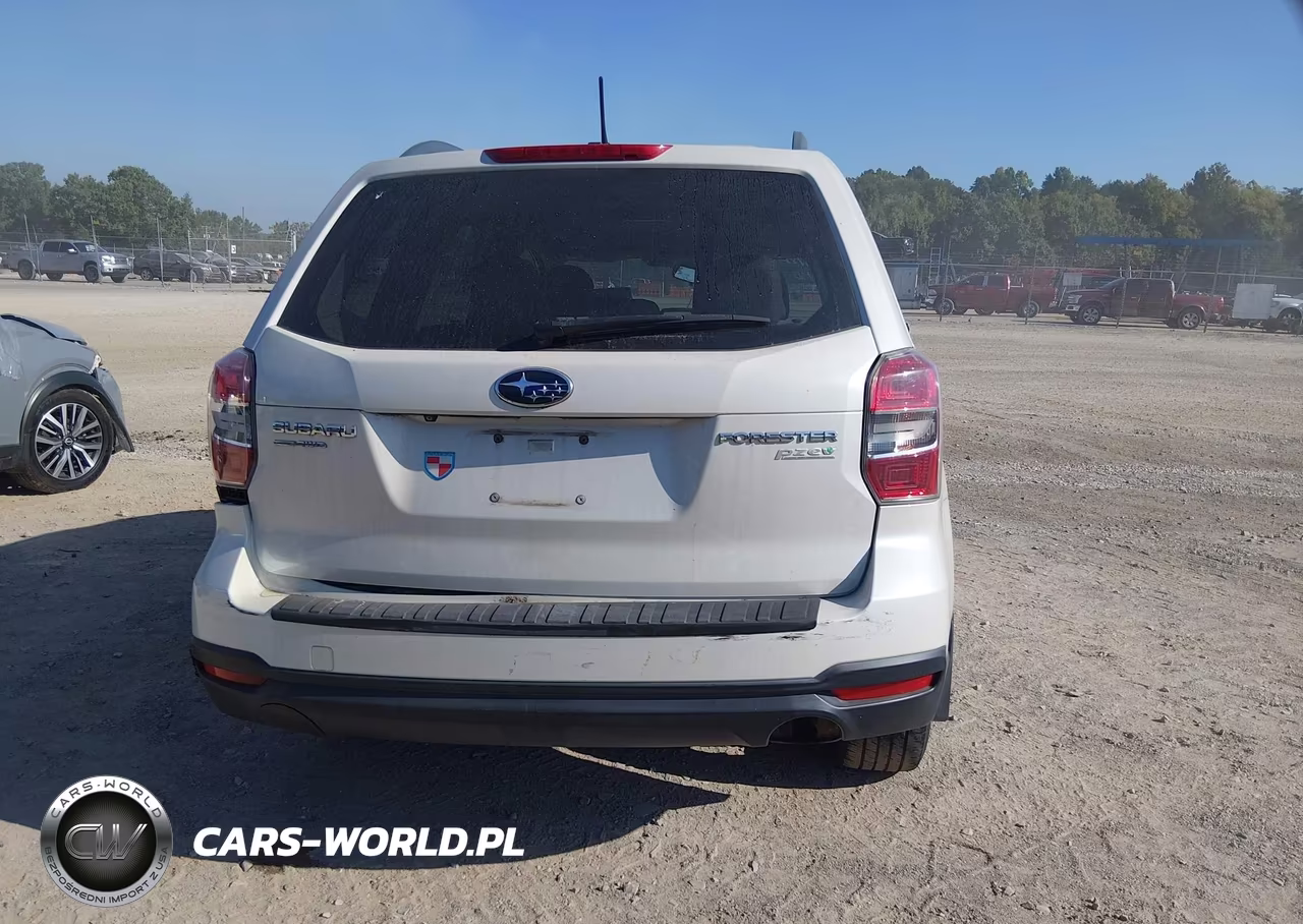 2014 Subaru Forester 2.5I Premium VIN:JF2SJAEC1EH493793 - 16