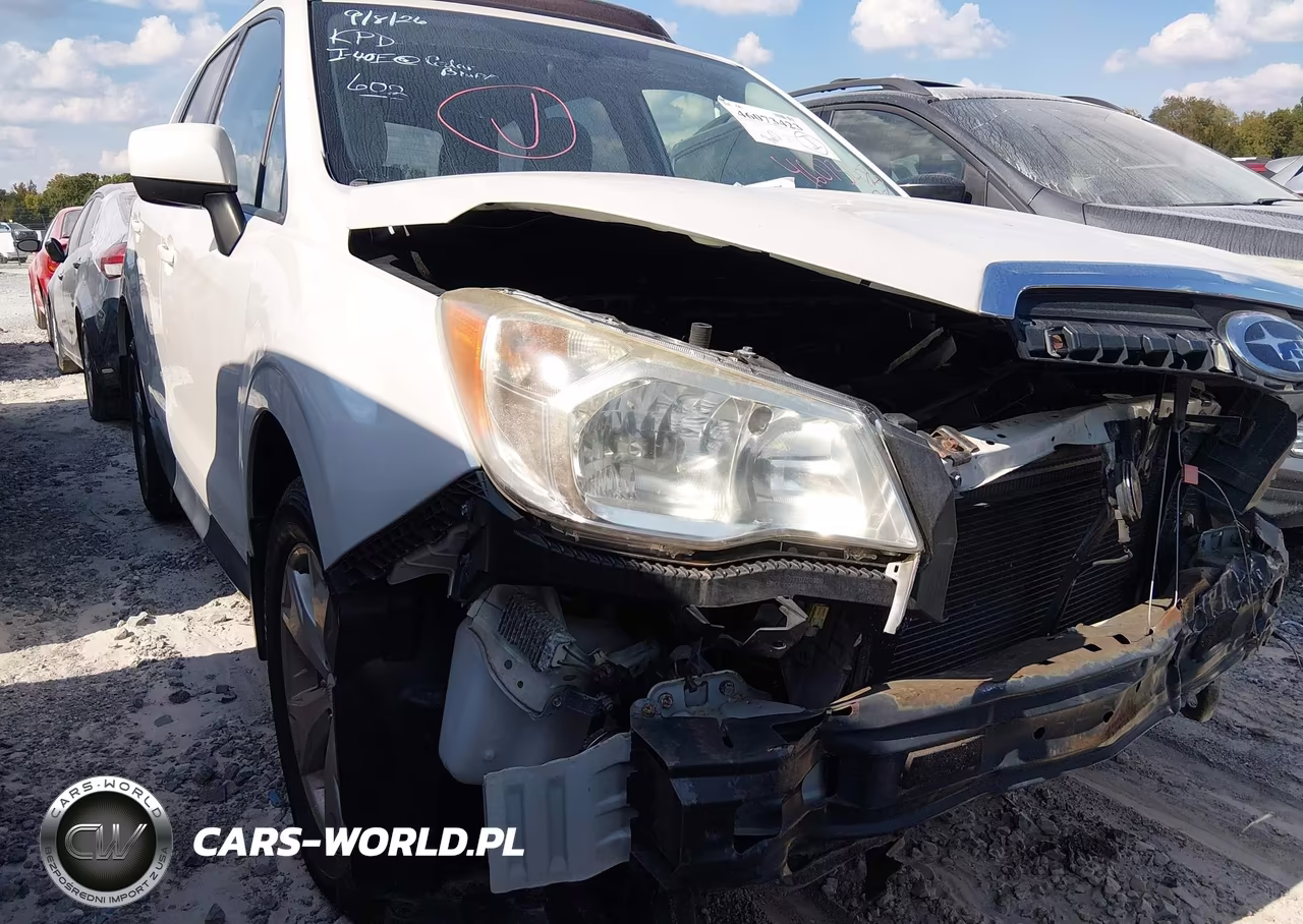 2014 Subaru Forester 2.5I Premium VIN:JF2SJAEC1EH493793 - 18