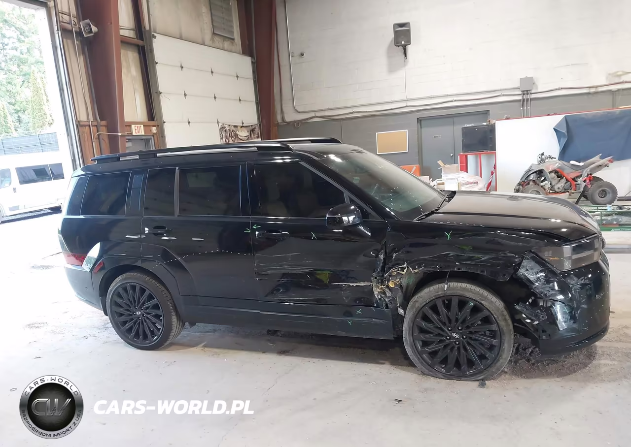 2026 Hyundai Santa Fe Calligraphy VIN:5NMP5DGL1TH170220 - 13