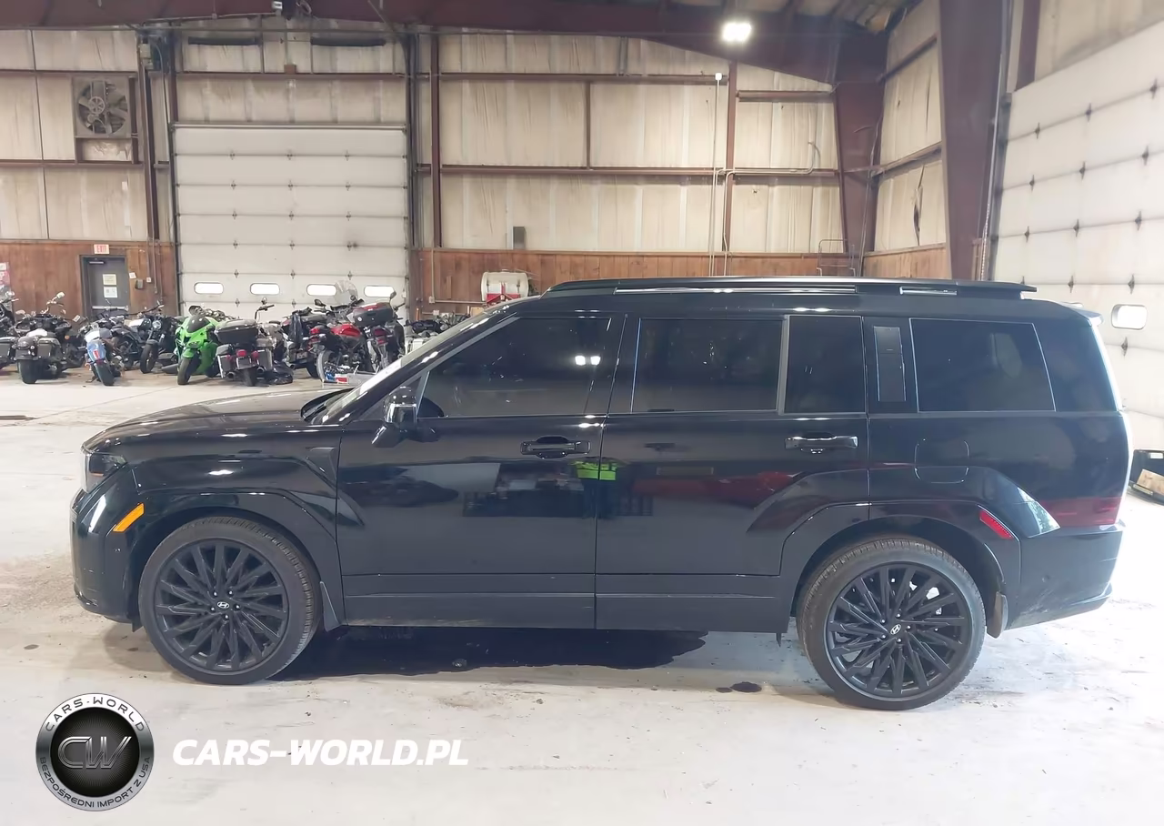 2026 Hyundai Santa Fe Calligraphy VIN:5NMP5DGL1TH170220 - 14