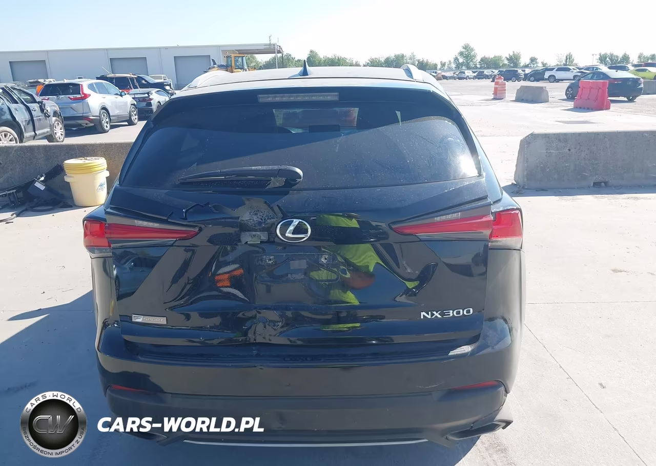 2021 Lexus Nx 300 F Sport VIN:JTJSARBZ4M5023552 - 16